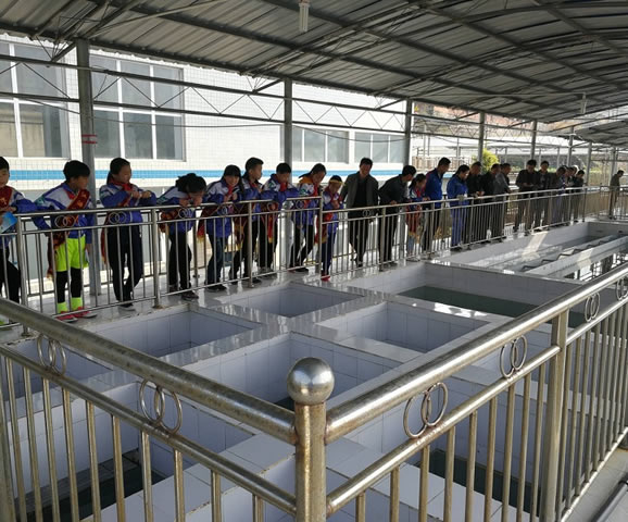 “节约水、珍惜水、保护水”我们在行动